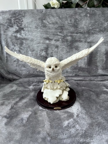 Juliana collection snowy owl - snowy,