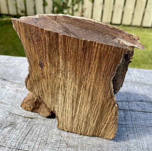 Laburnum log 2kg woodturning - laburnum,
