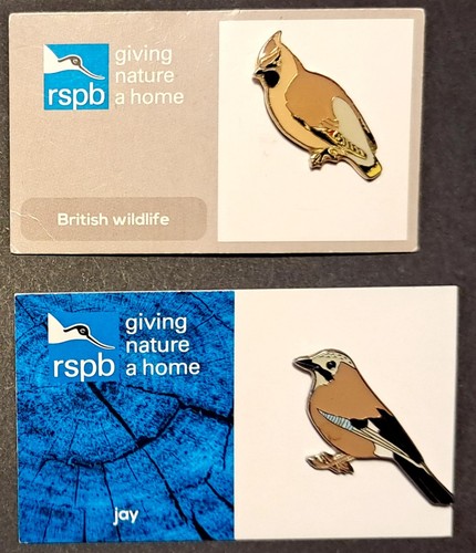 Rare rspb jay pin - rare, on