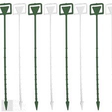 Clear or Green Cardettes