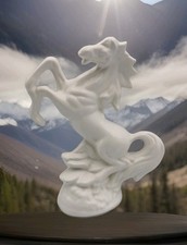 White Ceramic Porcelain