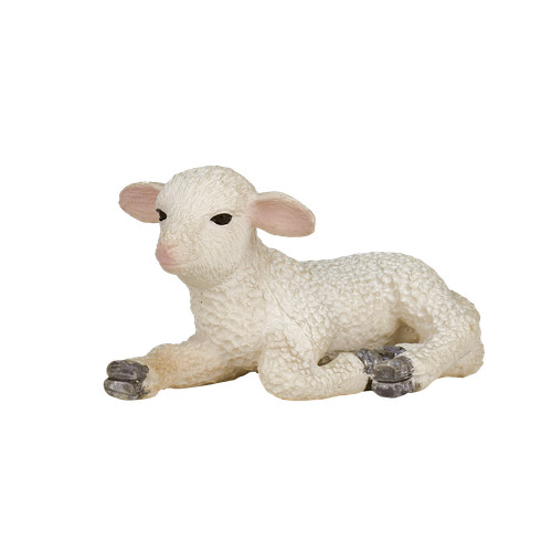 Mojo sheep lamb farm animals - mojo,