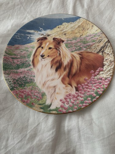 Coalport fine bone china plate - coalport,