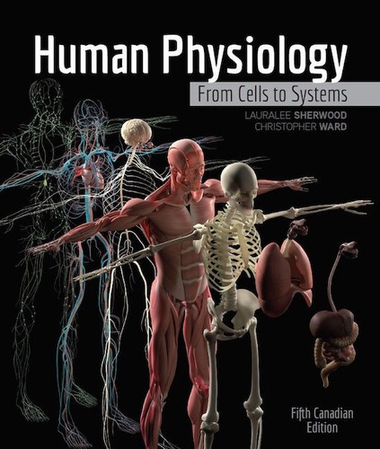 Human physiology from - from, to
