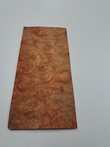Burr maple veneer 1 - maple,