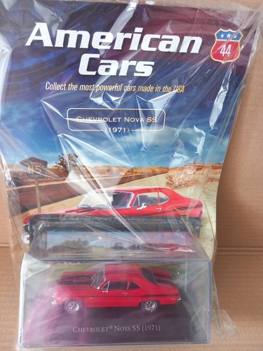 Hachette authentic american - authentic,