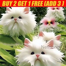 1Pack 50 Rare cat Face Orchid Seeds Dracula Cute Simia Garden Plant Flower Decor