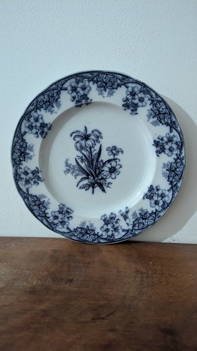 Antique victorian ashworth - antique, &