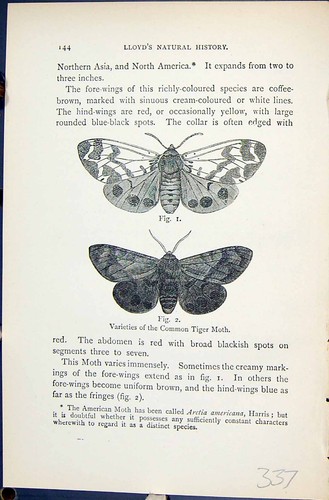 Antique old print varieties - antique,