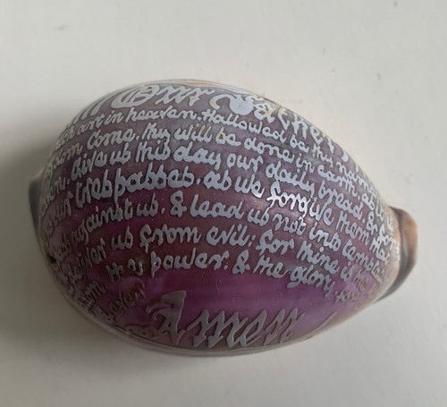 Antique victorian cowrie - antique,