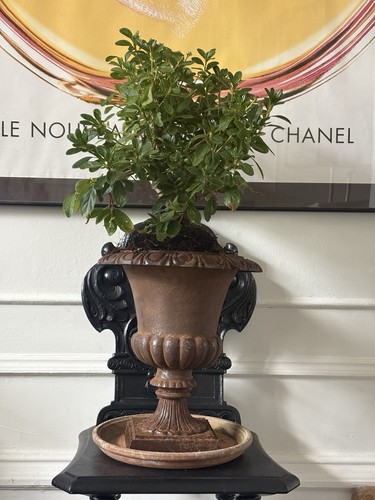Antique cast iron - antique,