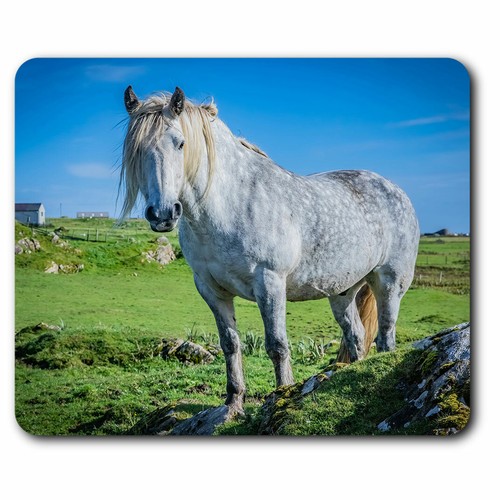 Computer mouse mat - mouse, highland