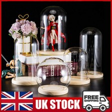 Clear Glass Dome Display Bell