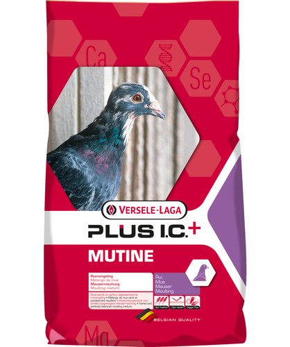 Versele laga mutine plus - laga,