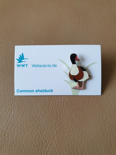 Wwt common shelduck enamel - shelduck,