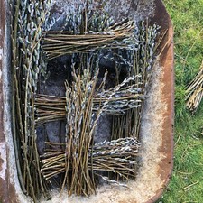 30x 30cm willow - willow, whips