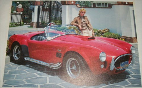 1966 shelby 427 - 1966, car