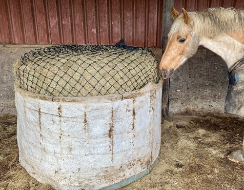 Round big bale hay - hay/haylage, net