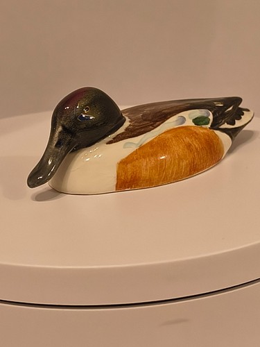 Beswick shoveller duck model - duck,