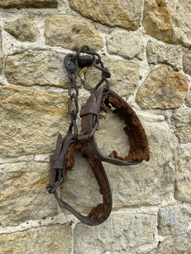 Vintage horse hobbles - vintage,