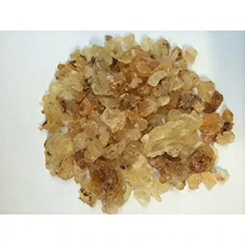 Edible gum arabic char - char, gond