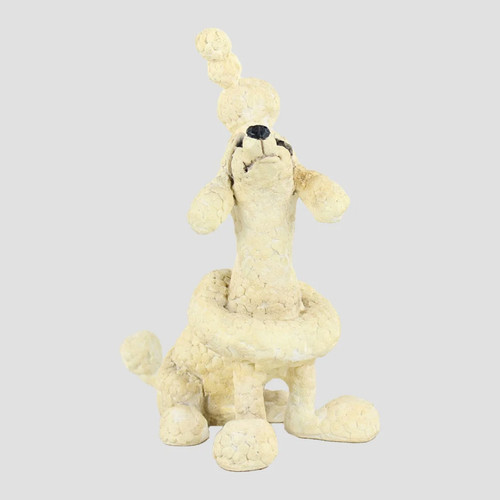Apricot poodle country - apricot,