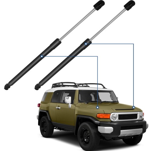 For 2007 2010 - for, fj
