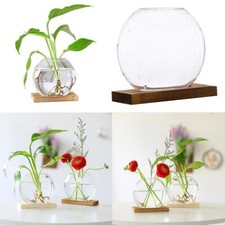 Modern Hydroponic Glass Flower