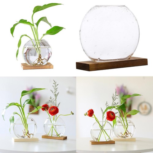 Modern hydroponic glass flower - hydroponic,
