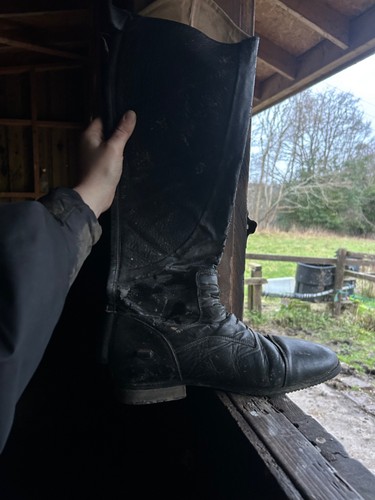 Mark todd size black - 8, tall