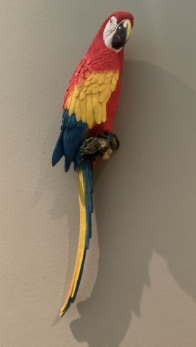 Scarlet macaw wall sculpture - macaw,