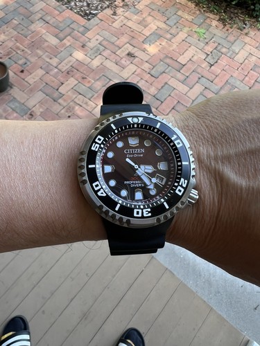 Citizen men promaster dive - citizen,