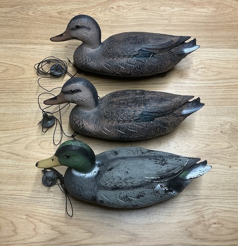 Sport plast mallard duck - x,