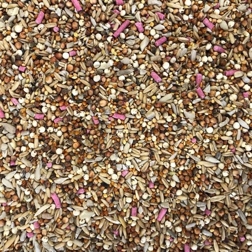 10kg premium wild - premium, food