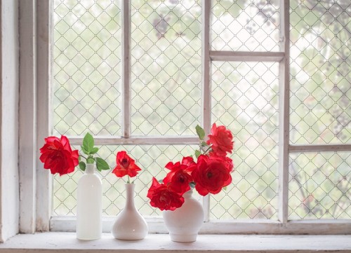 Privacy window film - film, frosted