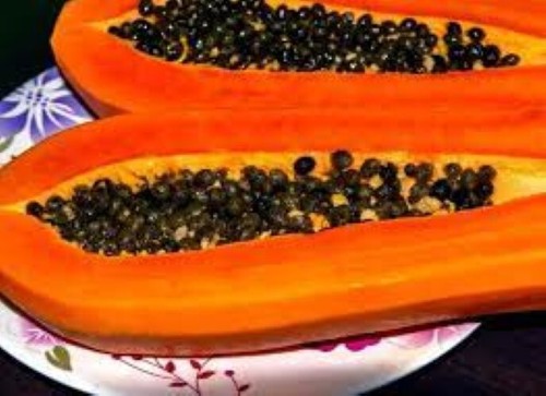 Fruit seeds grow your - x,