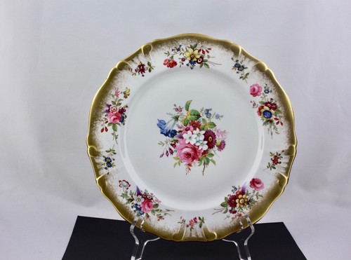 Hammersley lady patricia - lady,