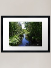 Greenwood Stream - Danforth