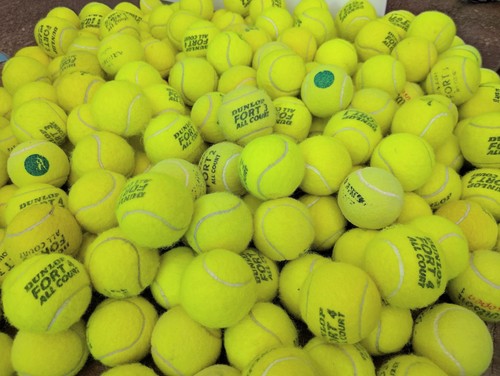 Used tennis balls for dogs - ,