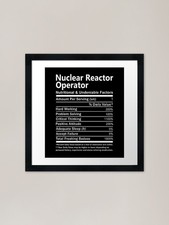 Nuclear Reactor Operator T