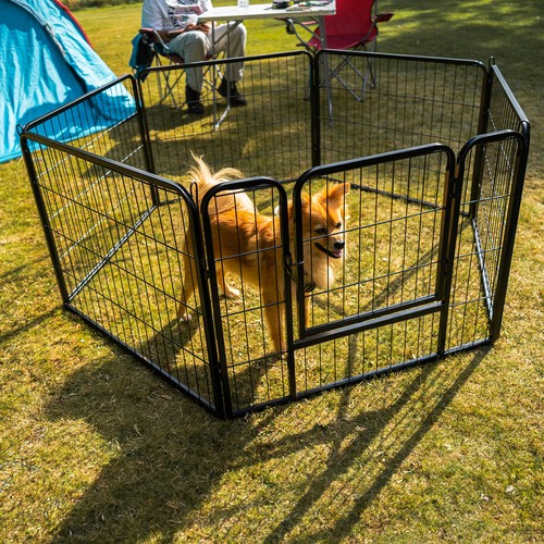 Metal dog playpen foldable - dog,