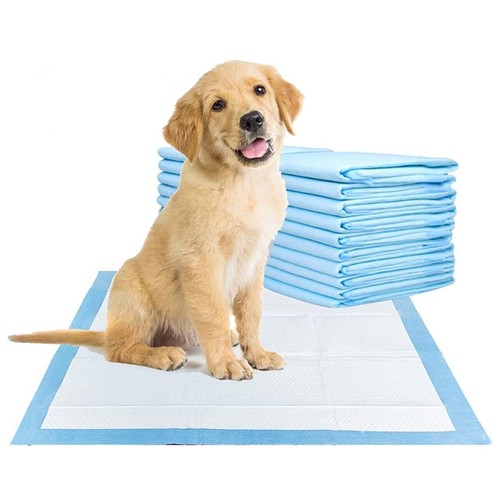 Large puppy training pads - puppy, pet