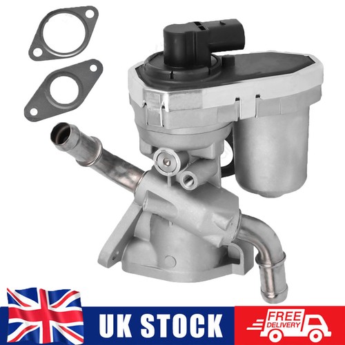 Egr valve for ford transit - for,