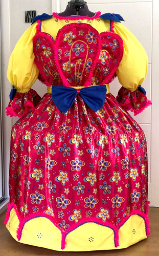 Pantomime dame costume - pantomime,