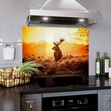 Glass Splashback Kitchen