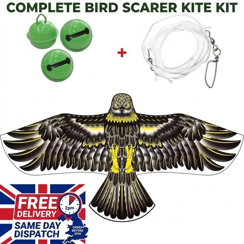 Emulation flying hawk - hawk, kite