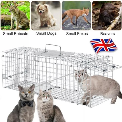Squirrel trap heavy duty - trap,