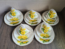 Vintage Salisbury Bone China