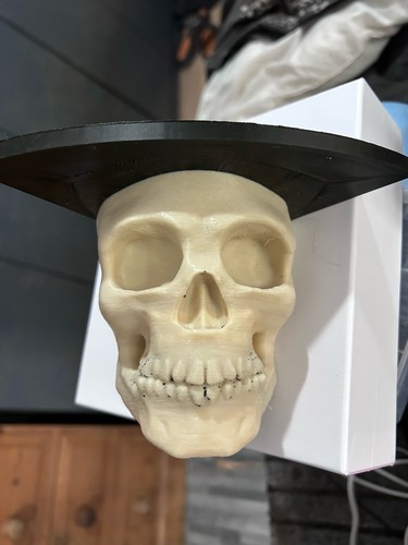 Gothic skull corner shelf - gothic,