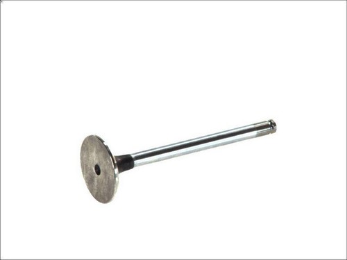 Intake valve freccia r4883 rcr - intake,